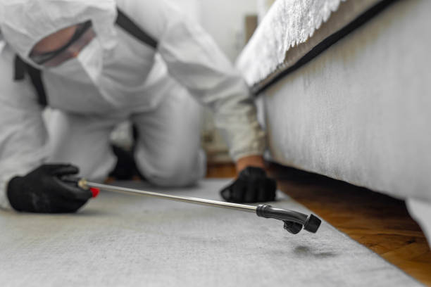 Professional Ant Control technician working in Haviland, NY